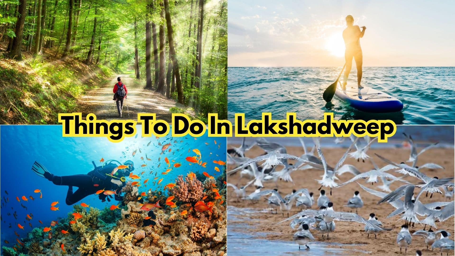 Things To Do In Lakshadweep