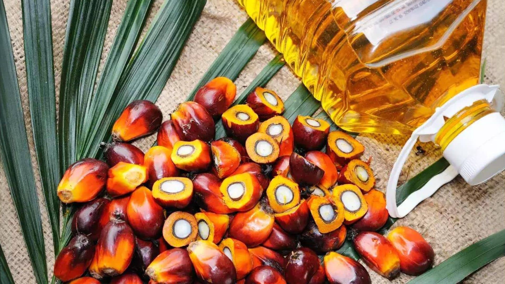 Health Effects of Palm Oil